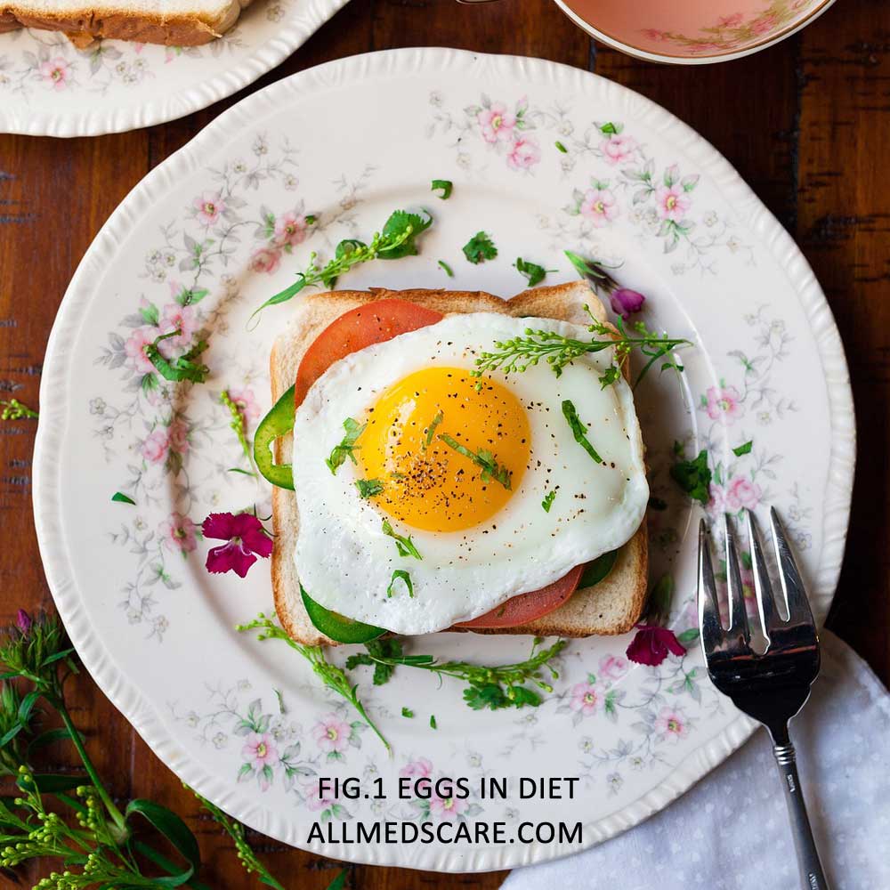 Why should people add Egg in food diet?